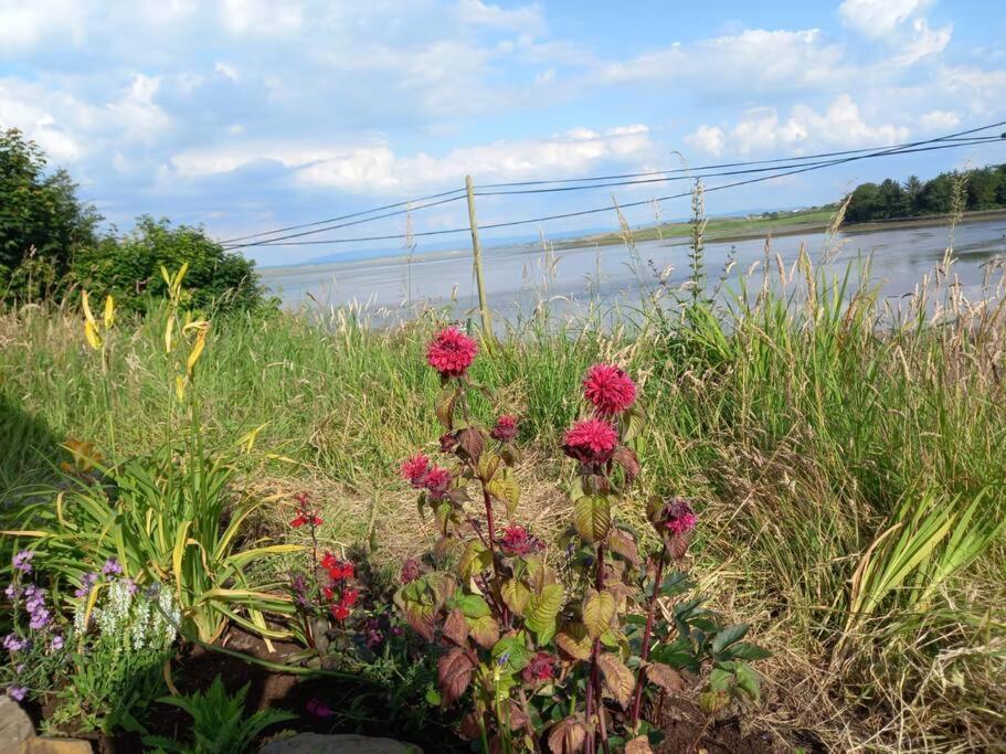 2 Quay Road, Killala. Stunning Sea Front Cottage Ngoại thất bức ảnh